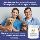 organic-spirulina-powder-for-dogs-and-ca-4.jpg