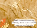 babo-botanicals-sensitive-baby-fragrance-5.jpg