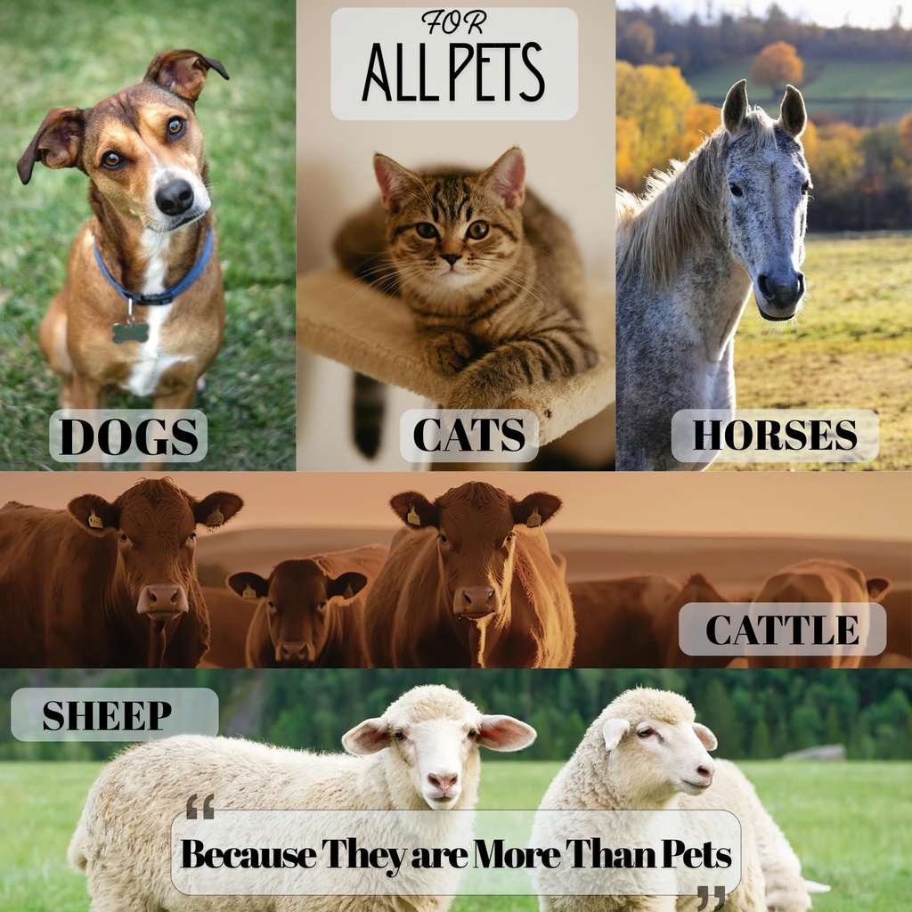 pet-eye-care-ointment-for-dogs-cats-and--2.jpg