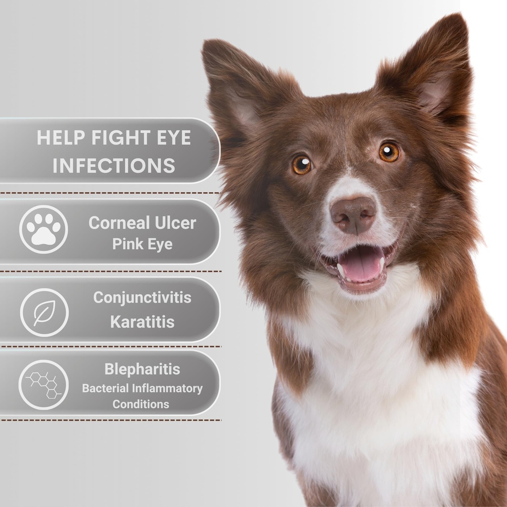 pet-eye-care-ointment-for-dogs-cats-and--3.jpg