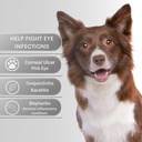 pet-eye-care-ointment-for-dogs-cats-and--3.jpg