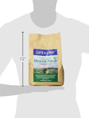 life-line-certified-organic-ocean-kelp-s-3.jpg