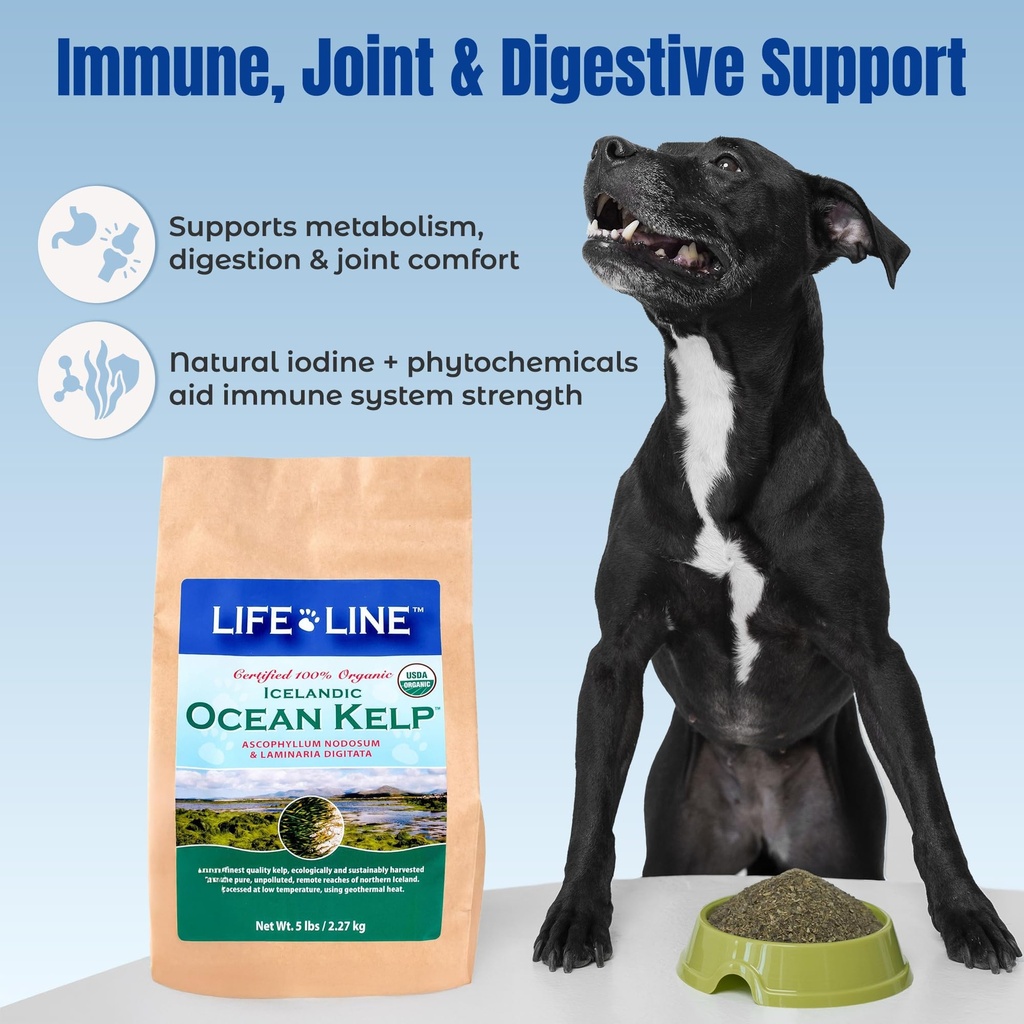 life-line-certified-organic-ocean-kelp-s-5.jpg