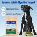 life-line-certified-organic-ocean-kelp-s-5.jpg