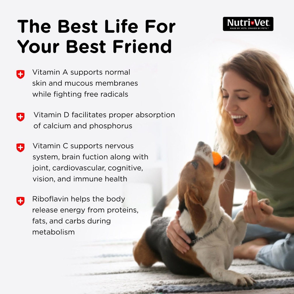 nutri-vet-dog-multivitamin-multivitamin--5.jpg