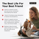 nutri-vet-dog-multivitamin-multivitamin--5.jpg