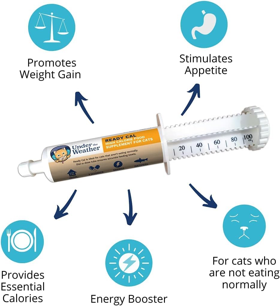under-the-weather-pet-ready-cal-for-cats-5.jpg