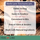 herb-lore-organic-vitex-tincture-liquid--4.jpg