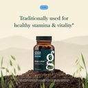 gaia-herbs-male-libido-herbal-supplement-3.jpg