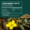gokshura-extra-strength-high-potency-tri-2.jpg