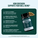 gokshura-extra-strength-high-potency-tri-5.jpg