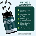 gokshura-extra-strength-high-potency-tri-4.jpg
