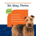 naturvet-all-in-one-dog-supplement-daily-4.jpg