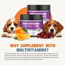 24-in-1-dog-vitamins-and-supplements-300-4.jpg