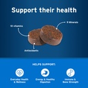 dog-multivitamin-vet-formulated-dvm-dail-4.jpg