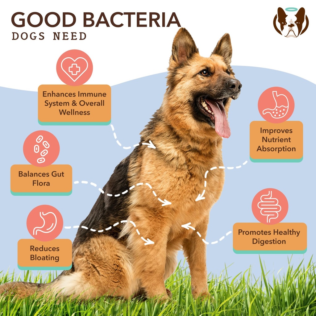 natural-dog-company-multivitamin-and-pro-5.jpg
