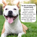 dog-multivitamin-bundle-champ-s-armor-al-2.jpg