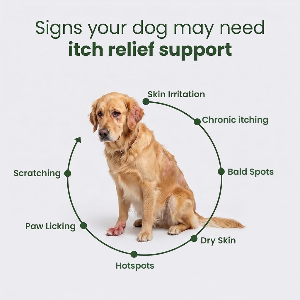 itch-relief-chews-nutriflo10-in-1-dog-mu-4.jpg