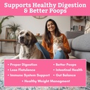 digestive-support-and-multivitamins-for--2.jpg