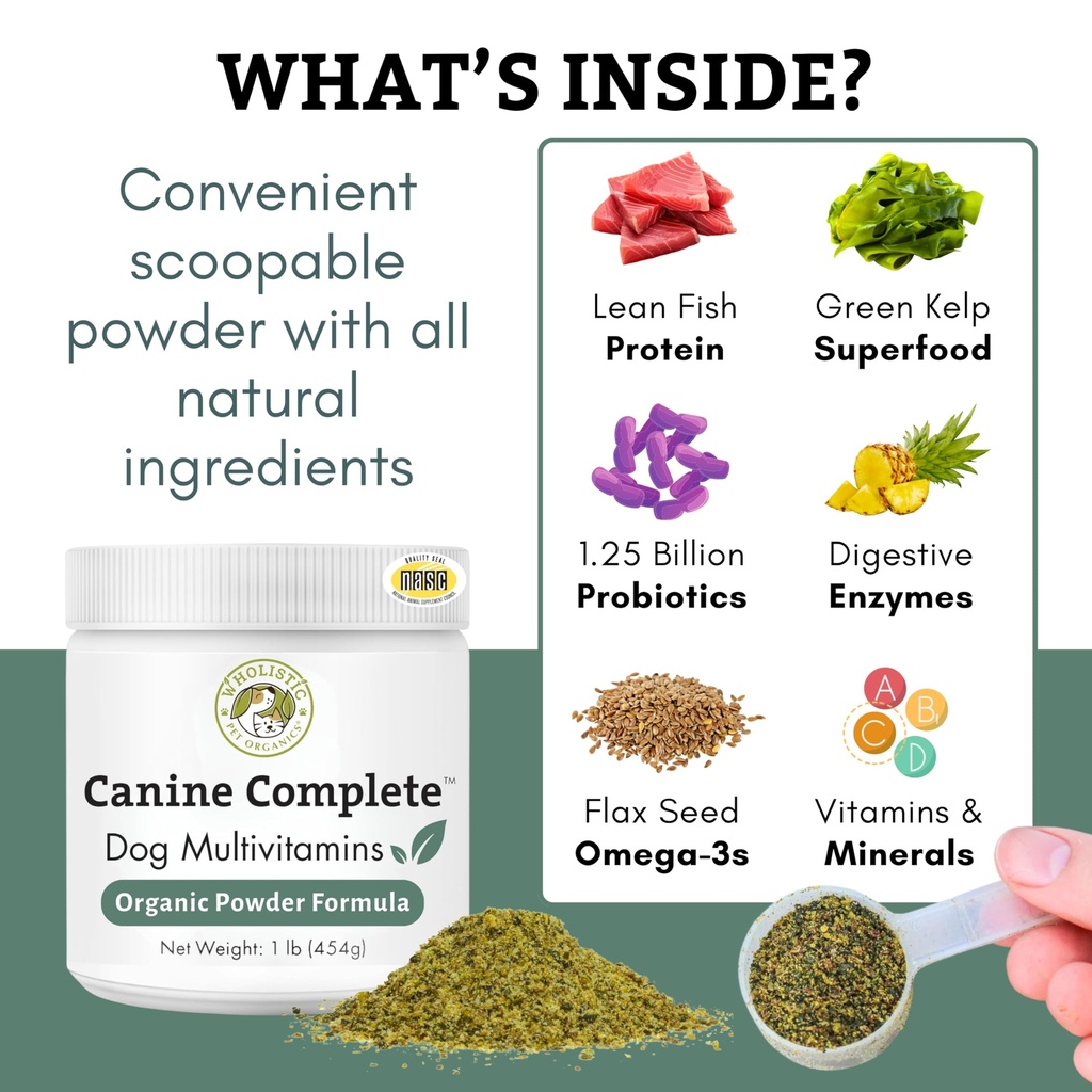digestive-support-and-multivitamins-for--6.jpg