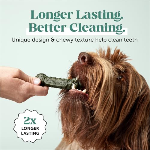 pet-honesty-dog-wellness-virtual-bundle--5.jpg