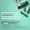 pet-honesty-dog-wellness-virtual-bundle--3.jpg