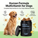 dog-is-multivitamin-for-itch-relief-dog--2.jpg