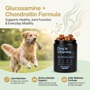 dog-is-multivitamin-for-itch-relief-dog--5.jpg