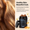 dog-is-multivitamin-for-itch-relief-dog--4.jpg