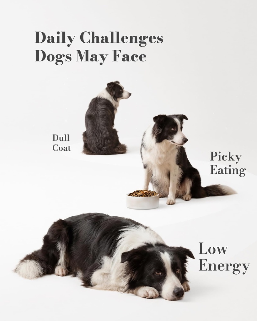 dog-multivitamin-soft-chews-daily-vitami-2.jpg