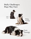 dog-multivitamin-soft-chews-daily-vitami-2.jpg