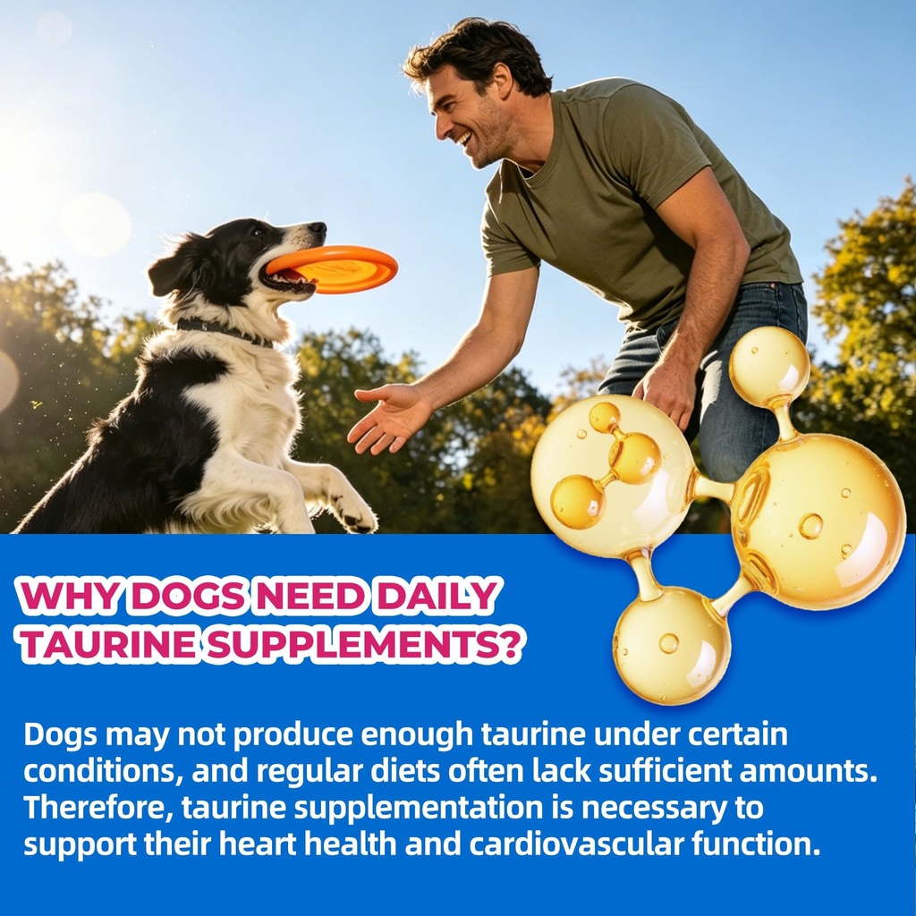 coenzyme-q10-heart-heathy-bites-for-dogs-3.jpg