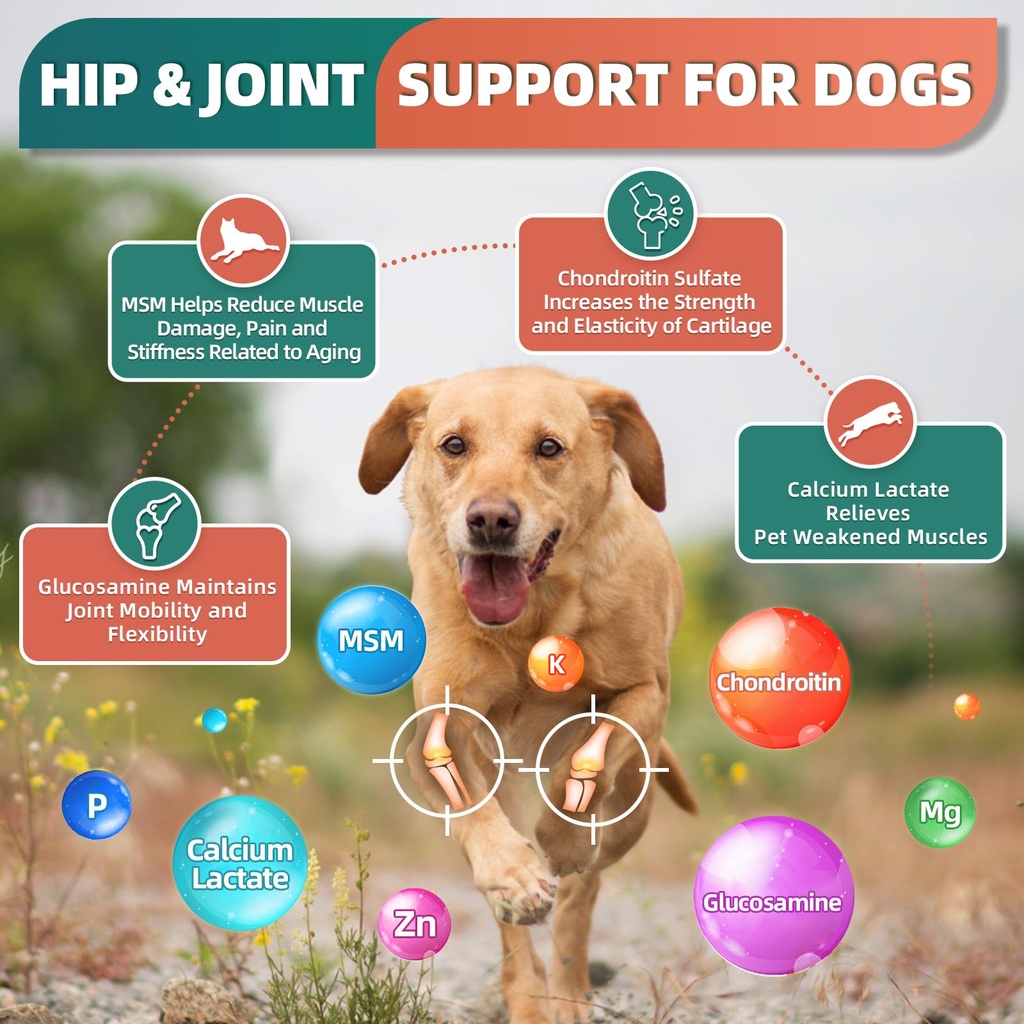 drfoster-dog-multivitamin-with-glucosami-2.jpg