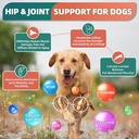 drfoster-dog-multivitamin-with-glucosami-2.jpg