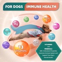 drfoster-dog-multivitamin-with-glucosami-6.jpg