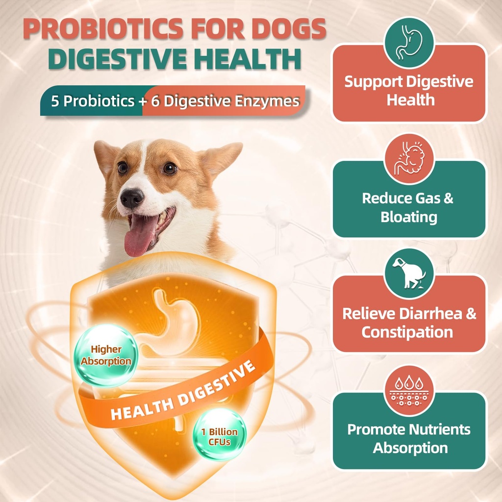 drfoster-dog-multivitamin-with-glucosami-3.jpg