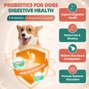 drfoster-dog-multivitamin-with-glucosami-3.jpg