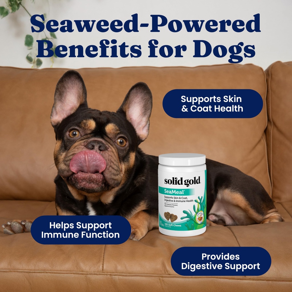 solid-gold-cat-dog-multivitamin-chews-ke-2.jpg