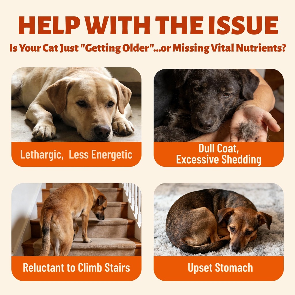 330-bites-dog-vitamins-and-supplements-f-3.jpg