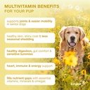 20-in-1-multivitamin-for-dogs-immune-dog-5.jpg
