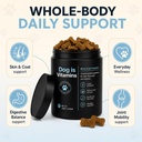 pure-dog-is-human-chews-dog-is-human-mul-3.jpg