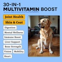 dog-vitamins-with-glucosamine-probiotics-4.jpg