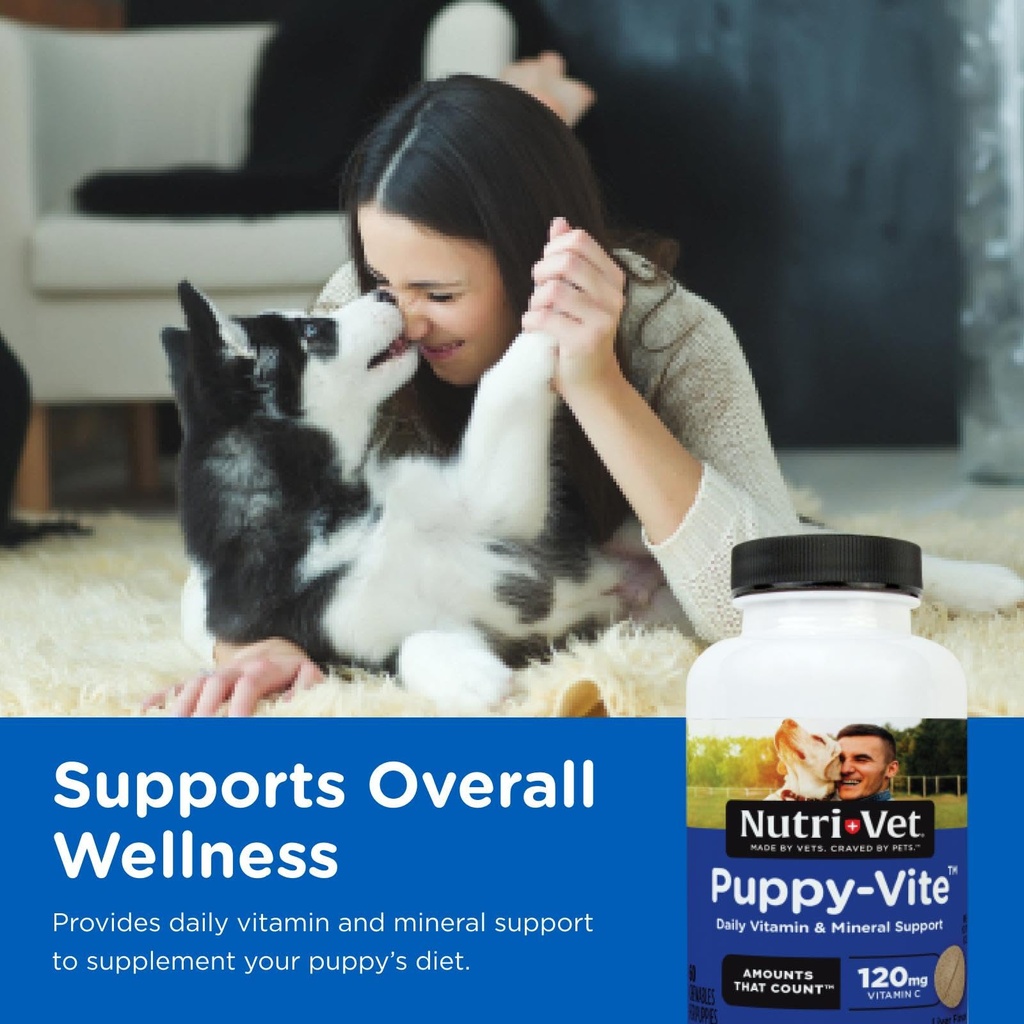 nutri-vet-puppy-multivitamin-daily-dog-v-2.jpg