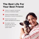 nutri-vet-puppy-multivitamin-daily-dog-v-4.jpg