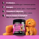 10-in-1-multivitamin-hip-joint-health-so-4.jpg