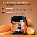 10-in-1-multivitamin-hip-joint-health-so-5.jpg
