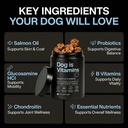 dog-is-multivitamin-for-itch-relief-dog--6.jpg