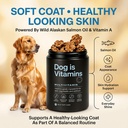 dog-is-multivitamin-for-itch-relief-dog--3.jpg