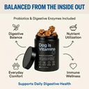 dog-is-multivitamin-for-itch-relief-dog--5.jpg