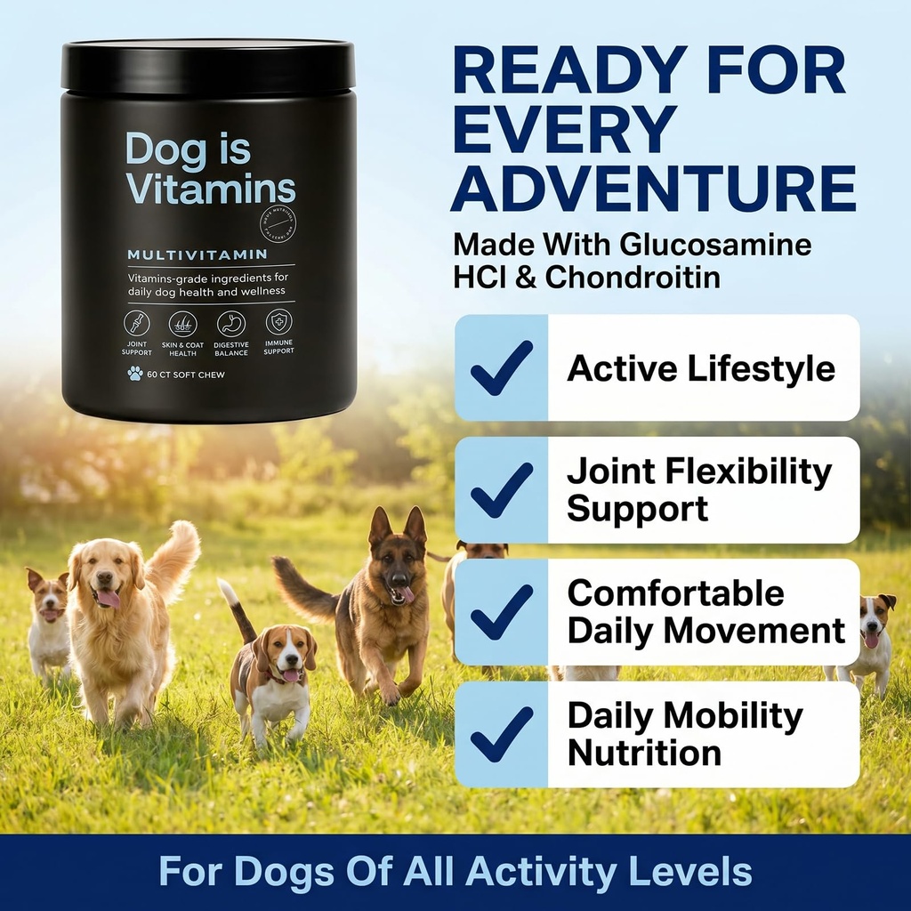 dog-is-multivitamin-for-itch-relief-dog--4.jpg